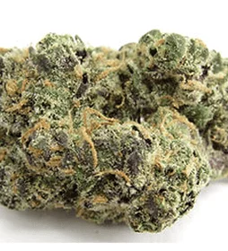 Apples to Apples Strain